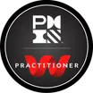 Wicked Problem Solving Practitioner